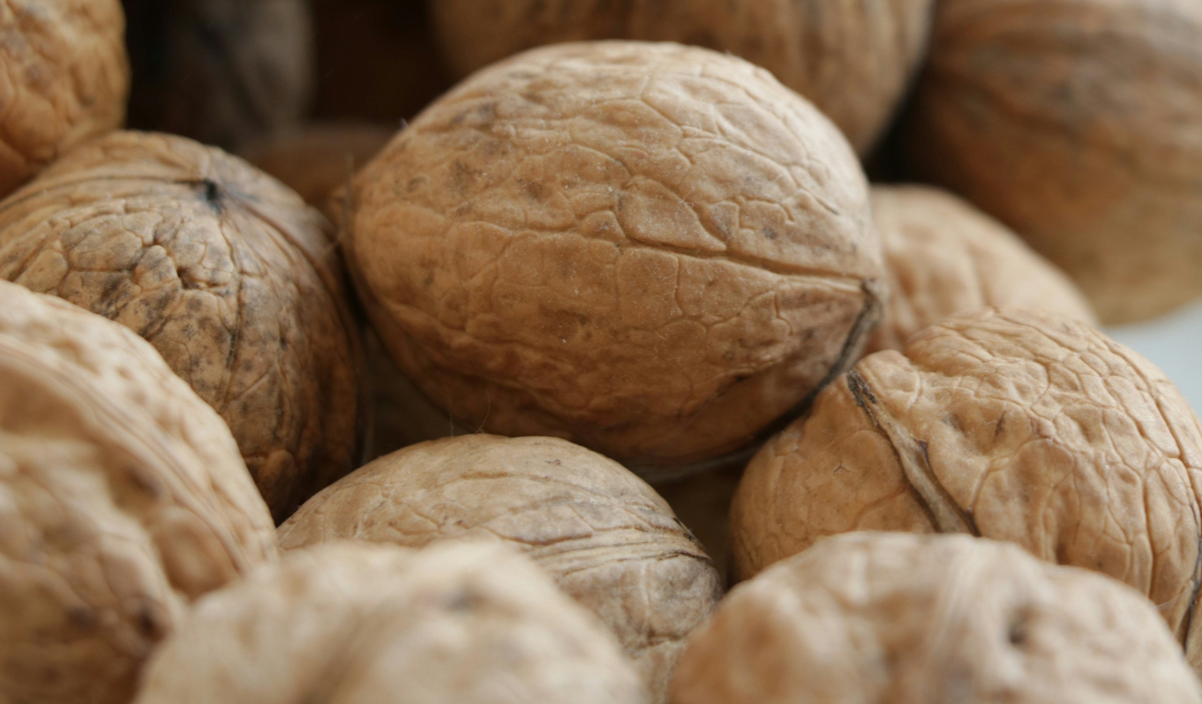 a small pile of shea nuts